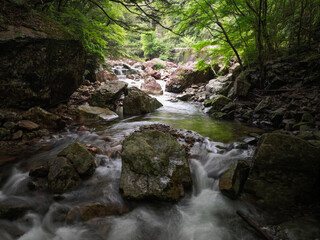高知県四万十市　黒尊渓谷の風景