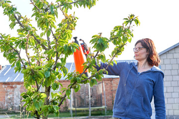 Woman applying fertilizer to a tree in a vegetable garden
