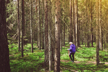 Side view woman on road walk with nordic sticks in forest surrounded with trees. Texture and nature...