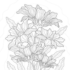 Hand drawn bouquet of flowers and leaves on a white isolated background. Floral summer illustration. For coloring book pages.