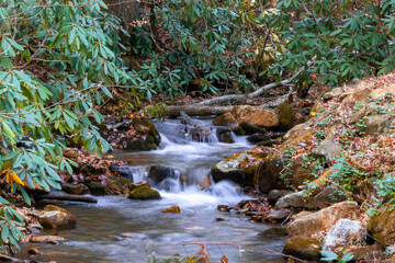 Mountain Stream