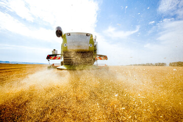 Combine harvester harvests wheat in the field. Agriculture background. Harvest season