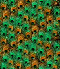 Obraz premium Decorative Peacock Feathers Seamless Pattern Realistic Look Trendy Fashion Colors Natural Design Perfect for Allover Fabric Print