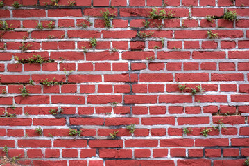 Obraz premium Red stone wall decorated with green plants