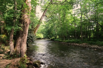 Oconaluftee River