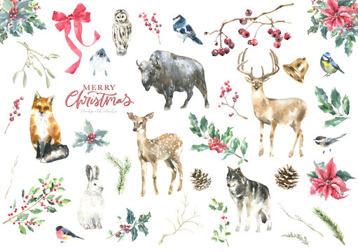 Merry Christmas watercolor animal illustration set. Deer, fawn, stag, buffalo, wolf, fox, birds, bunny, Christmas tree, spruse,pine, Winter forest flora for greeting cards, postcard, invitation, flyer