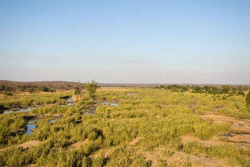 Fototapeta na wymiar River in Kruger National park, South-Africa