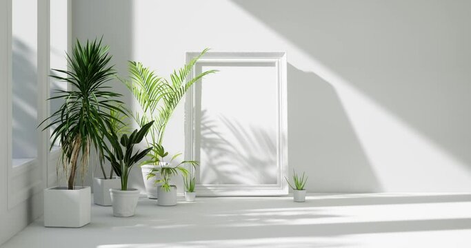 empty white room interior with classic picture frames, tropical home plants on the floor, sunlight from windows. zoom in