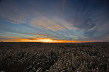 Landschaft