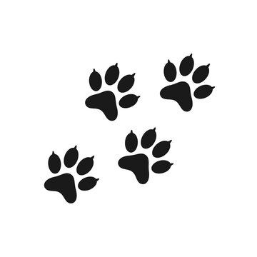 Dog paw print trail isolated on white background. Vector stock