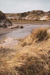 D&uuml;nen im Landschaftsschutzgebiet De Slufter auf Texel, Niederlande
