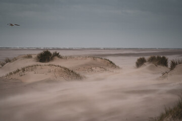 De Hors Strand im S&uuml;den von Texel, Niederlande