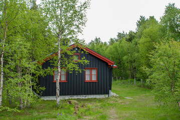 Fototapeta premium house in the woods near Andalsnes Norway