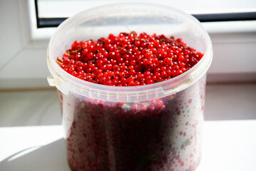 a big beautiful transparent bucket of currants with red berries on a white windowsill on a sunny day