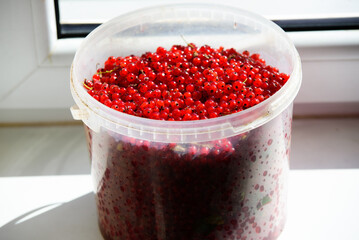 a big beautiful transparent bucket of currants with red berries on a white windowsill on a sunny day © Aivis