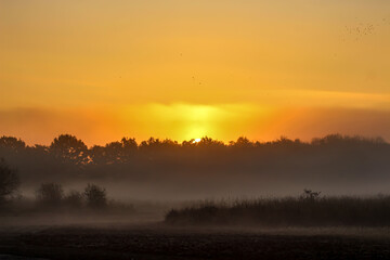 Fototapeta na wymiar Sunset on sologne fog, levé de soleil sur le brouillard de sologne