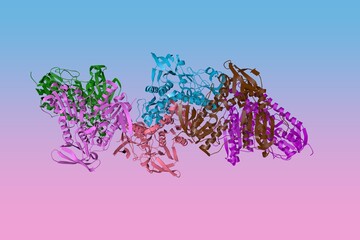 X-ray structure of human thioredoxin reductase 1. Ribbons diagram with differently colored protein chains based on protein data bank. Scientific background. 3d illustration