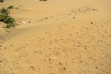 Microplastics on Sand Beach