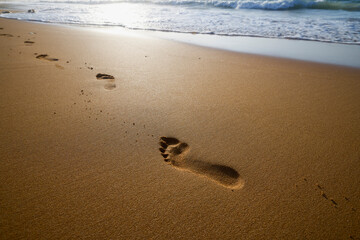 beautiful landscape with a brown sandy beach in Malta