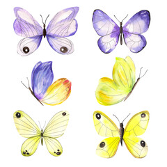 Fototapeta na wymiar Watercolor set. Set of butterflies in yellow and violet colors. Butterfly collection watercolor illustration. Summer, insects
