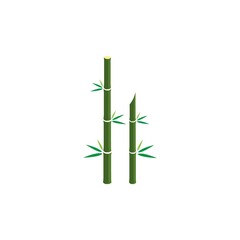 Fototapeta na wymiar bamboo icon logo vector design template