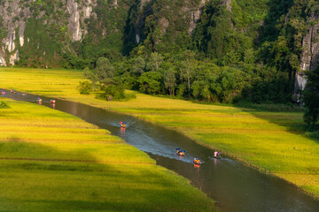 Yellow rice field on Ngo Dong river in Tam Coc Bich Dong from mountain top view in Ninh Binh, Viet Nam