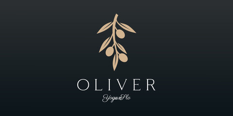 Twig Olive Oil logo template icon design