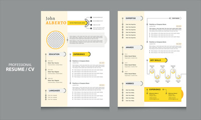 modern resume with infographics design for job
