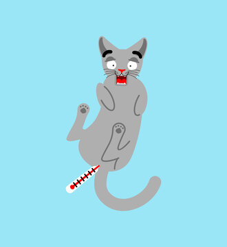 Sick cat and thermometer. Measuring temperature rectally in a pet