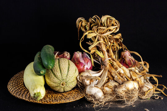 Still life of freshly picked vegetables from the garden on a black background, onions, garlic, zucchini, cucumbers and melon. Concept of healthy and sustainable life