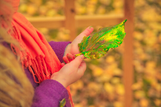 little girl holds in her hands a painted autumn leaf of a tree.
