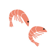 Shrimp Design Very Cool