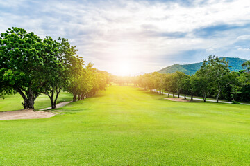 Green trees and grass on golf course fairways.