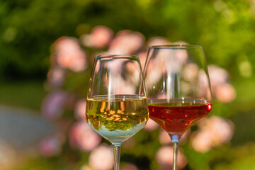 A glasses of red and white wine against outdoor garden background.