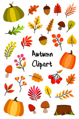 Autumn vector clipart design with pumpkins, leaves, mushrooms, berries. Collection of seasonal Fall elements isolated on white background for cards, invitations, patterns, web banners.