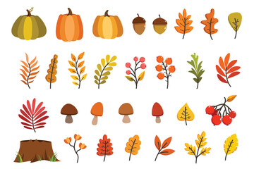 Obraz premium Collection of vector Autumn elements isolated on white. Fall clip art design with pumpkins, autumn leaves, mushrooms, berries, acorns