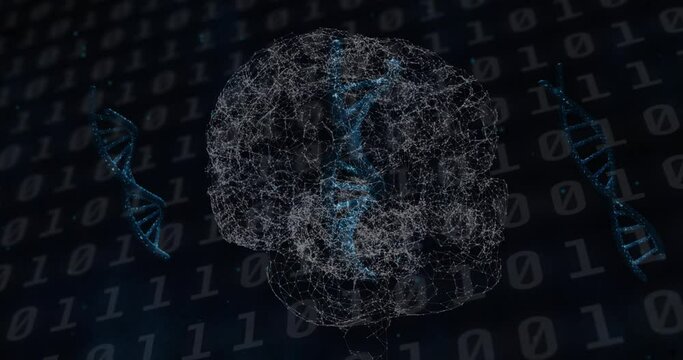 Animation of brain rotating over dns on black background