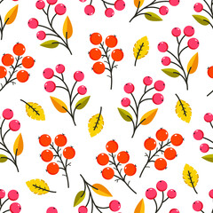 Autumn pattern vector design with red berries and fall leaves on white. Autumn seamless background for fabrics, wrapping paper, web, textile print