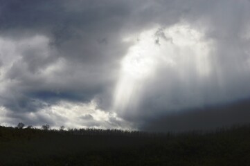 Obraz na płótnie Canvas cloudy weather with sun rays