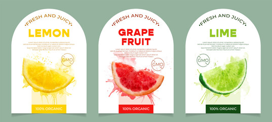 Set of 3 labels, packaging of fresh and juicy citrus fruits. Natural organic product, gmo free. Text with watercolor realistic fruits on white base. Template for your product.