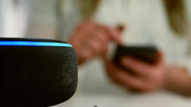 Home smart voice device