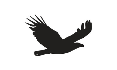 Obraz premium Eagle Vector