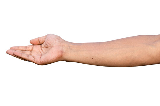 symbols of hand,hend different indications image
