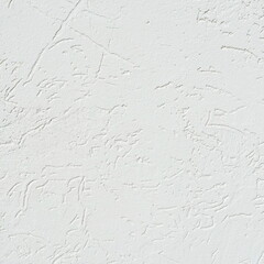 Plaster Texture. Decorative Texturized Finishing. Light Textured Surface. Squrel Photo