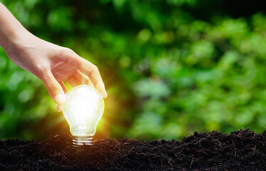 Hand holding light bulb in garden green nature background. energy sources for renewable.                       