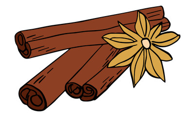 Cinnamon sticks and star anise, isolated on white background. Engraving style vector illustration. 