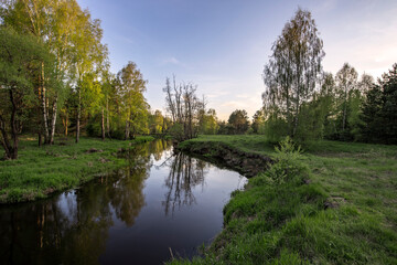 Fototapeta na wymiar Bright May greens. Picturesque landscape with a small river. Evening pacifying landscape with a river and trees.
