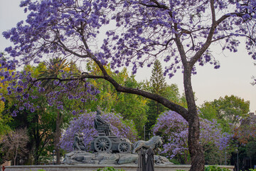 The fountain of Cibeles in Madrid Square, at colonia Roma in Mexico City - An exact copy from the...