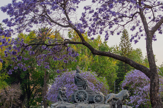 The fountain of Cibeles in Madrid Square, at colonia Roma in Mexico City - An exact copy from the original in Madrid built in 1777
