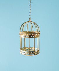 Gilded vintage style birdcage, empty and closed. Minimal creative concept.